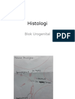 Histologi urogenital dan ginjal