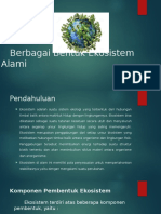 Berbagai Bentuk Ekosistem Alami - 2