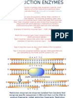 Restriction Enzymes