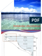 Ambientes Sedimentarios-plat Marina