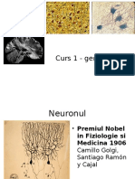 Introducere in Neurologie