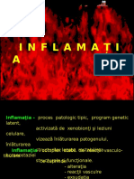 Inflam Rom Rom