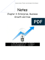 Chapter 3 Enterprise, Business Growth and Size PDF