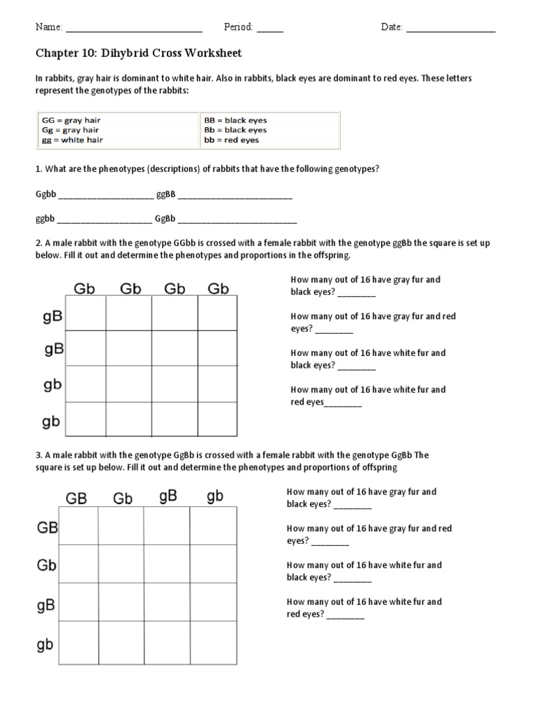 Worksheets Dihybrid Cross Worksheet dihybrid worksheet zygosity dominance genetics