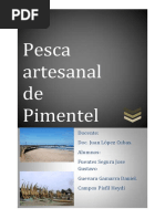 Pesca Artesanal Pimentel