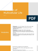 Radiation of Multicellular Life During the Paleozoic Era