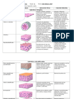 Epitelio de Recubrimiento y Revestimiento