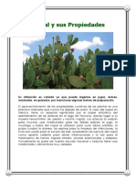 Nopal y sus propiedades.pdf