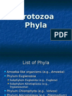 Protozoa 2