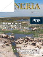 466 Mineria Julio PDF
