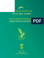 Policy and Process Guidelines Hindi PDF