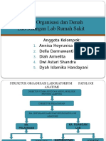 Struktur Organisasi Dan Denah Lab