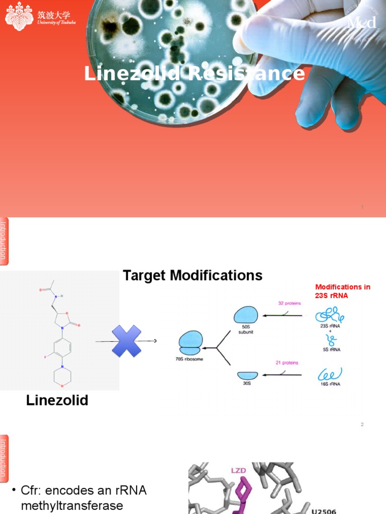 Linezolid Resistance Mechanisms | PDF