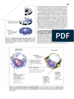 Livro Lehninger - Princípios de Bioquímica-3 Edição - Completo-Parte3 PDF