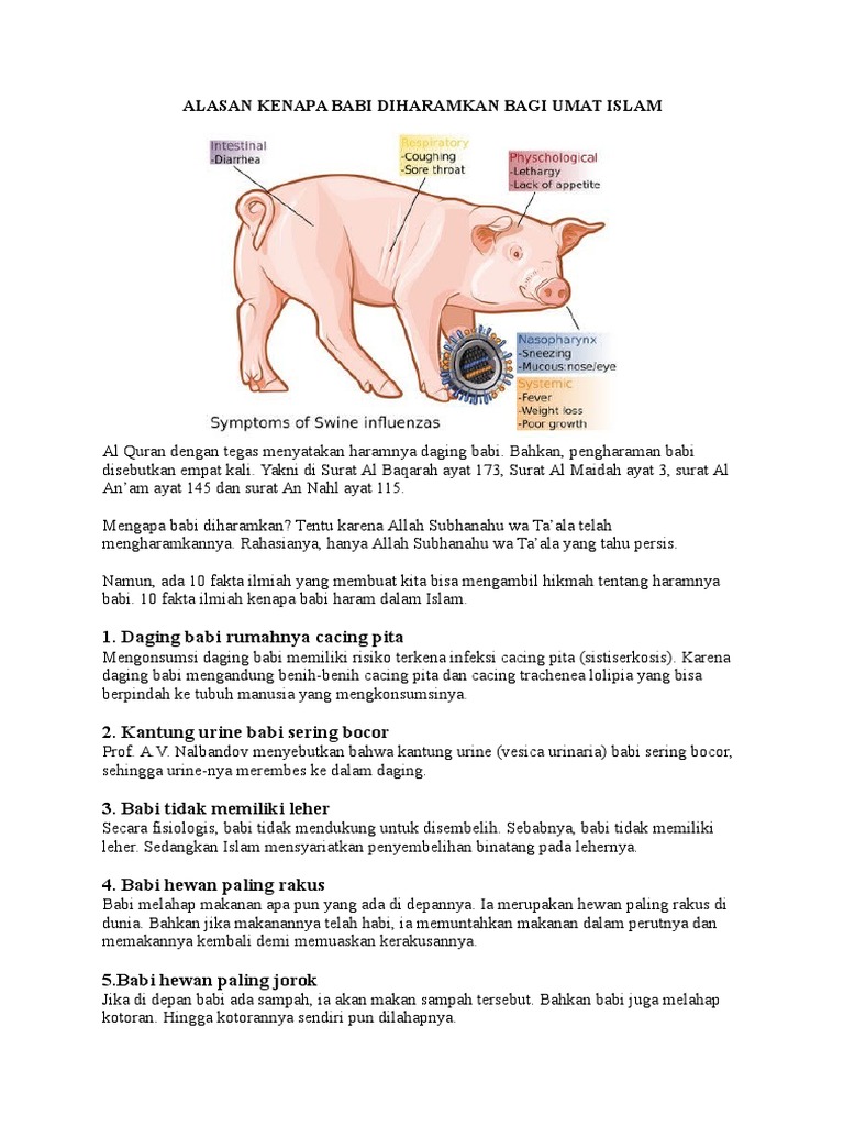 Alasan Kenapa Babi Diharamkan Bagi Umat Islam | PDF | Kesehatan