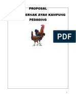Proposal Usaha Ayam Kampung