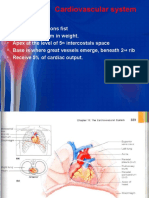 Cardiovascular System