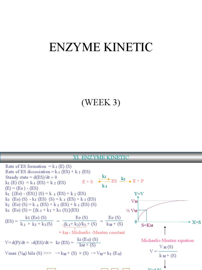 Enzyme Kinetics and Equations Explained | PDF