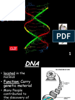 dna-transcription-translation-mutations hh-after  1 