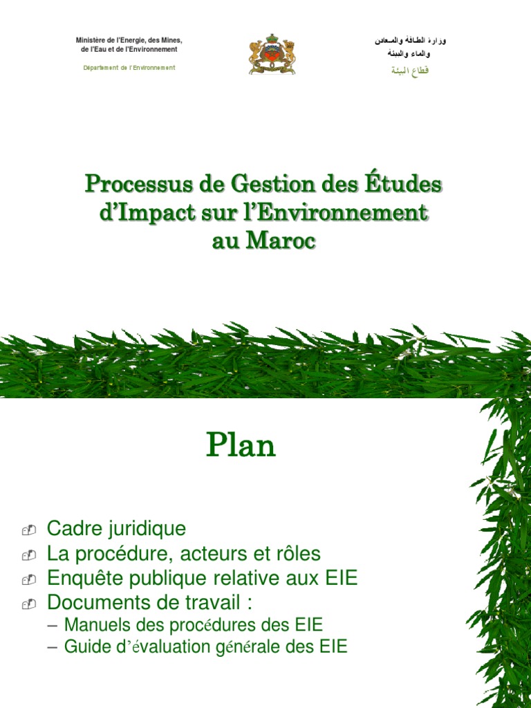 Gestion des EIE au Maroc | PDF | Étude d'impact | Environnement naturel