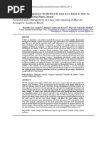 Previsão e Consequências Da Abertura de Uma Nova Barra No Mar Do Ararapira