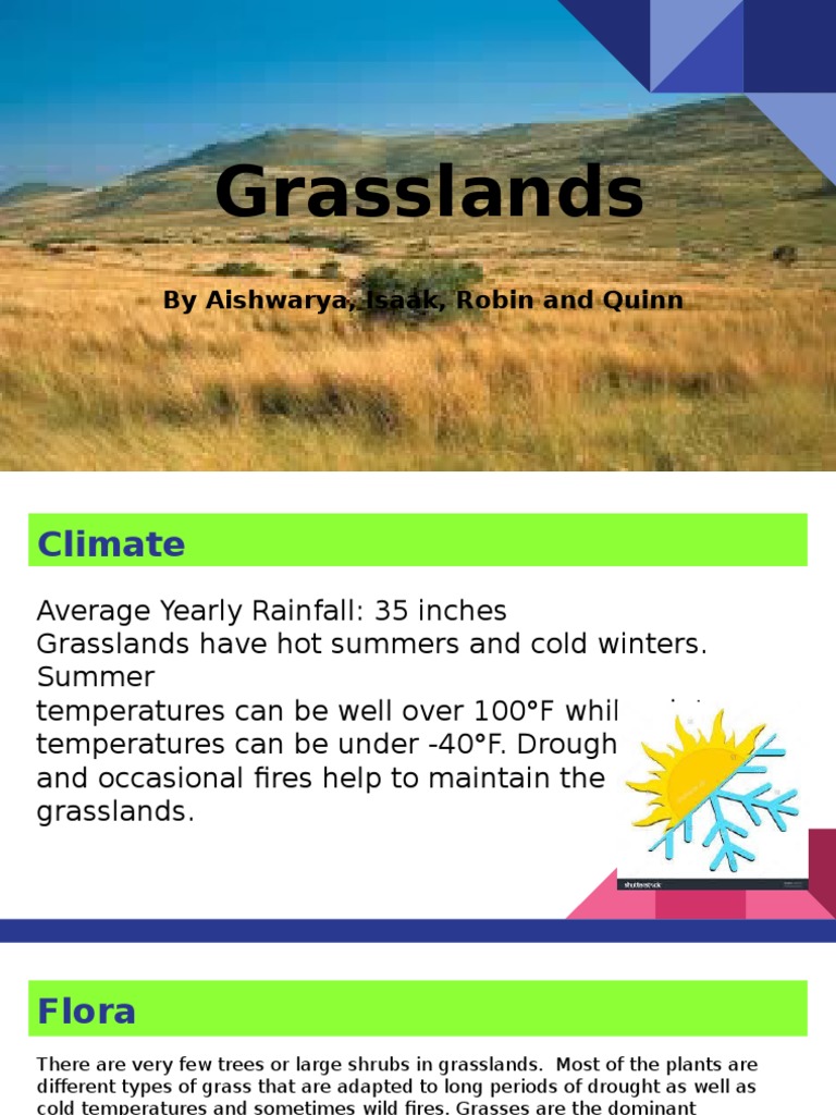 Grassland Presentation PDF