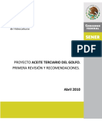 Proy_aceite_terciario_del_golfo._Primera_rev_y_recomendaciones.pdf