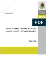 Proy Aceite Terciario Del Golfo. Primera Rev y Recomendaciones PDF