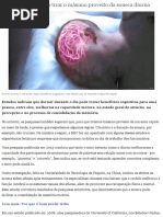 Cansado Aprenda a Tirar o Máximo Proveito Da Soneca Diurna - BBC Brasil