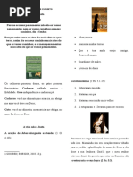 Teologia Do Gato Ao Cachorro