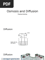 Osmosis and Diffusion Lab