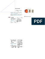 Rod and Cone Cells