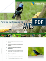 Perfil Avistamiento de Aves - Webinar