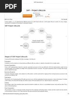 SAP Project Lifecycle