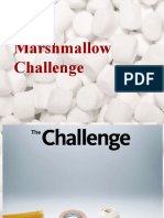 Mashmellow Challange Final