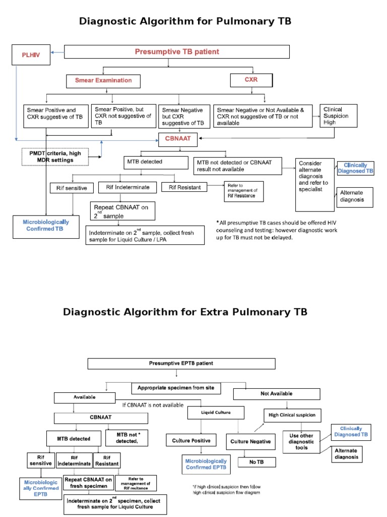 Diagnostic Algorithm For Pulmonary TB | PDF