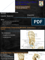 Articulaciones Del Pie