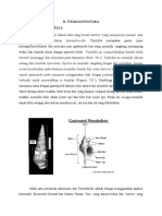 Laporan Biometri