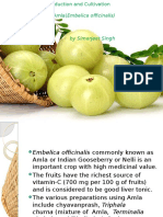 Production and Cultivation of Amla (Embelica Officinalis)