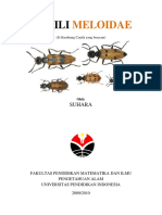 MELOIDAE PPT Entomologi PDF