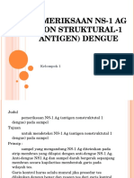 Pemeriksaan ns1