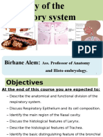 Histology of the respiratory system