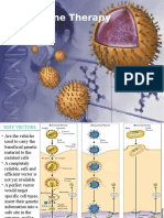 Vectors in Gene Therapy: Understanding the Role of Viral and Non-Viral Delivery Systems