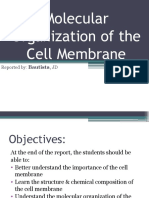 Molecular Organization of The Plasma Membrane