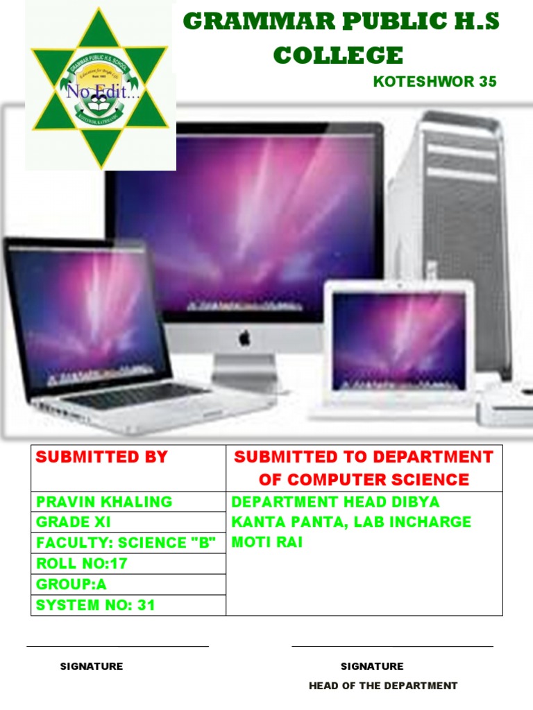 Class 11 Hseb Project Sample Pdf Computers