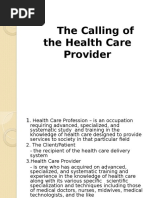 The Healthcare Provider