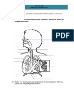 4. TP -Sistema Cardio-Respiratorio