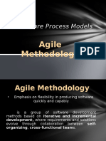 99169108-Agile-Methodology.pptx