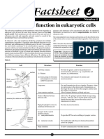 Structure To Function in Eukaryotic Cells