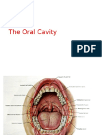 The Oral Cavity